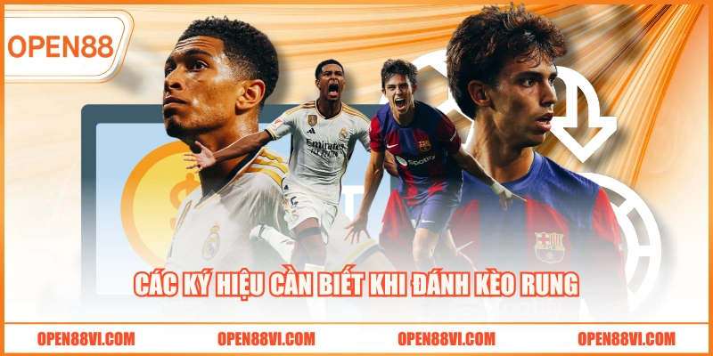 Các ký hiệu cần biết khi đánh kèo rung