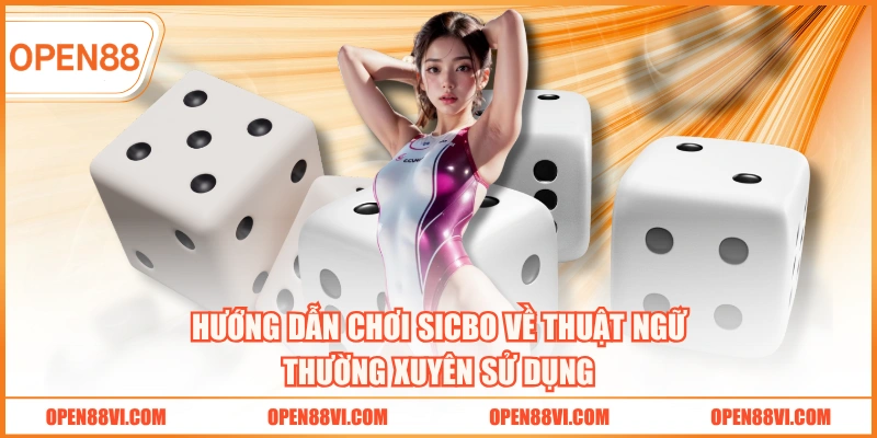 Hướng dẫn chơi Sicbo về thuật ngữ thường xuyên sử dụng